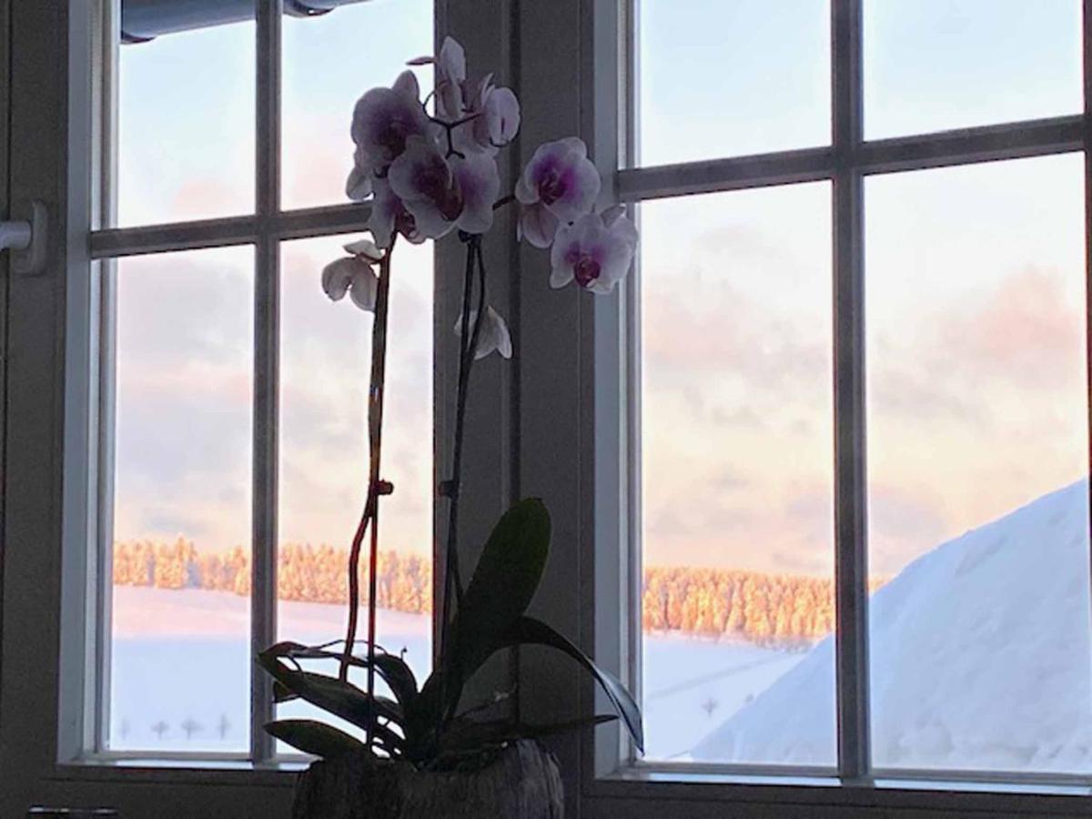 Berghaus Carlsfeld Villa ไอเบินชตอค ภายนอก รูปภาพ
